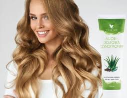 Izrada WordPress sajtova – moderan dizajn, funkcionalnost i SEO optimizacija